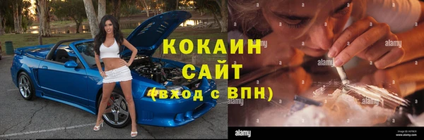PSILOCYBIN Абаза