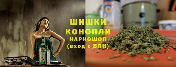 PSILOCYBIN Абаза