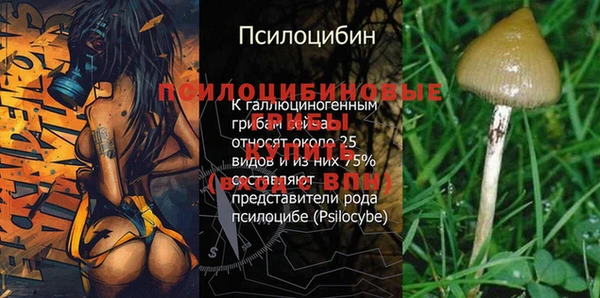 PSILOCYBIN Абаза