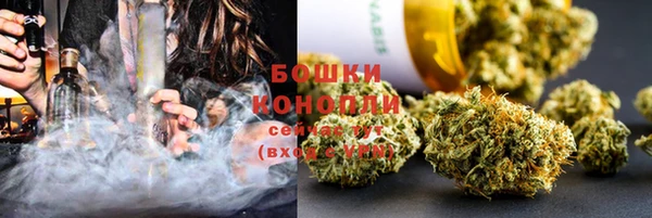 PSILOCYBIN Абаза