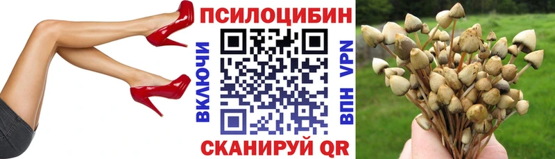 продажа наркотиков  Краснодар  omg маркетплейс  Псилоцибиновые грибы Cubensis 