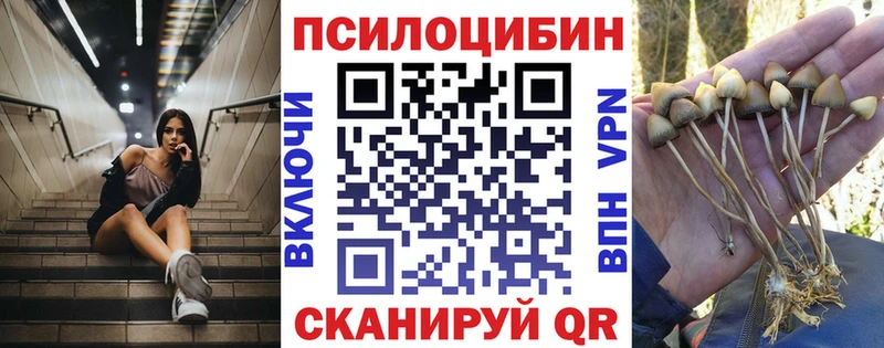 Галлюциногенные грибы GOLDEN TEACHER Краснодар